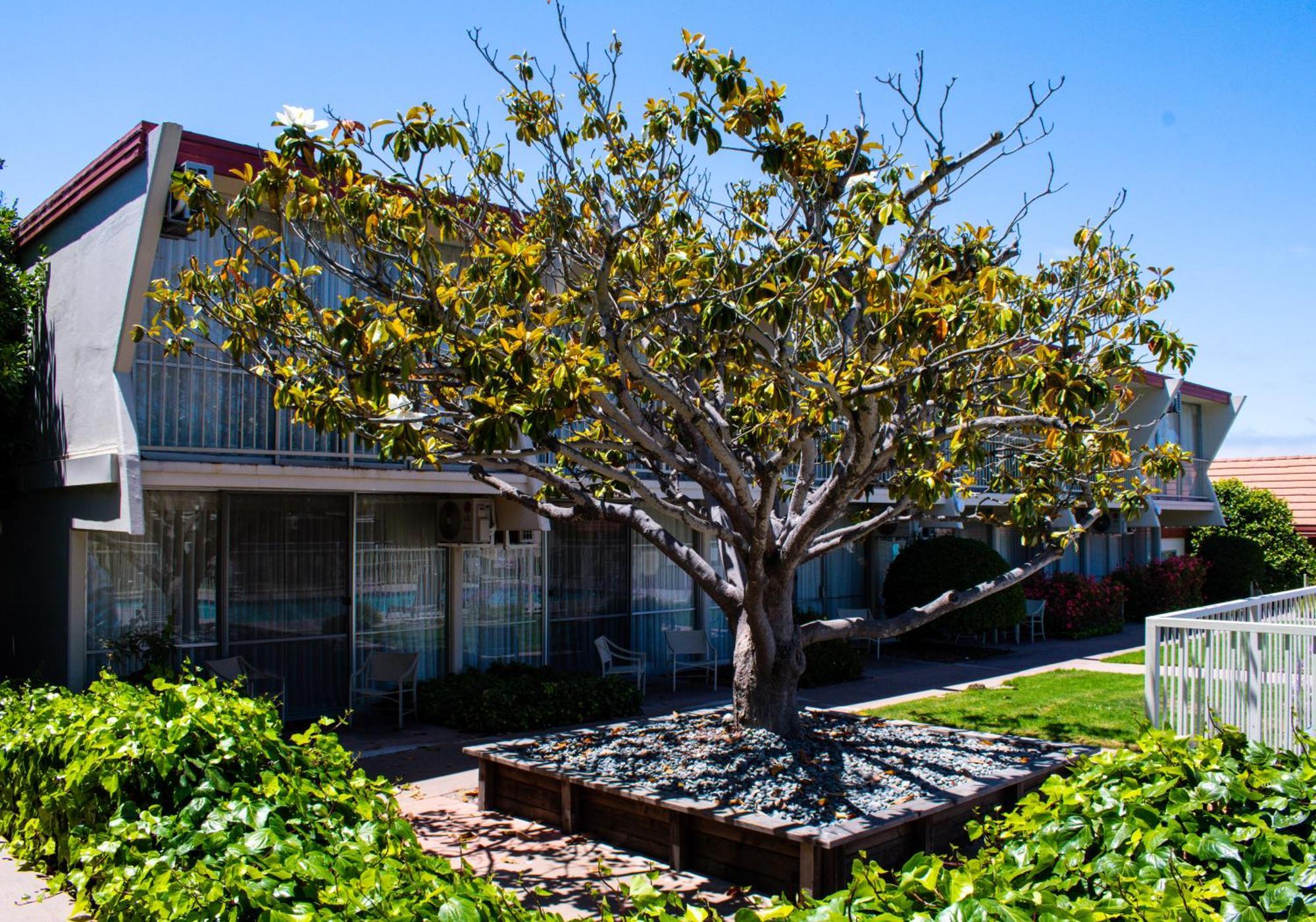 Travelodge By Wyndham Monterey Bay Εξωτερικό φωτογραφία